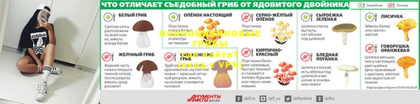 гашик Баксан